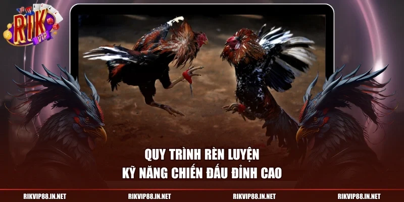 Quy trình rèn luyện kỹ năng chiến đấu đỉnh cao